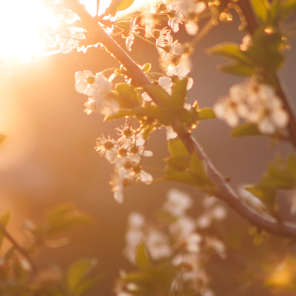 National Earth Day is here!