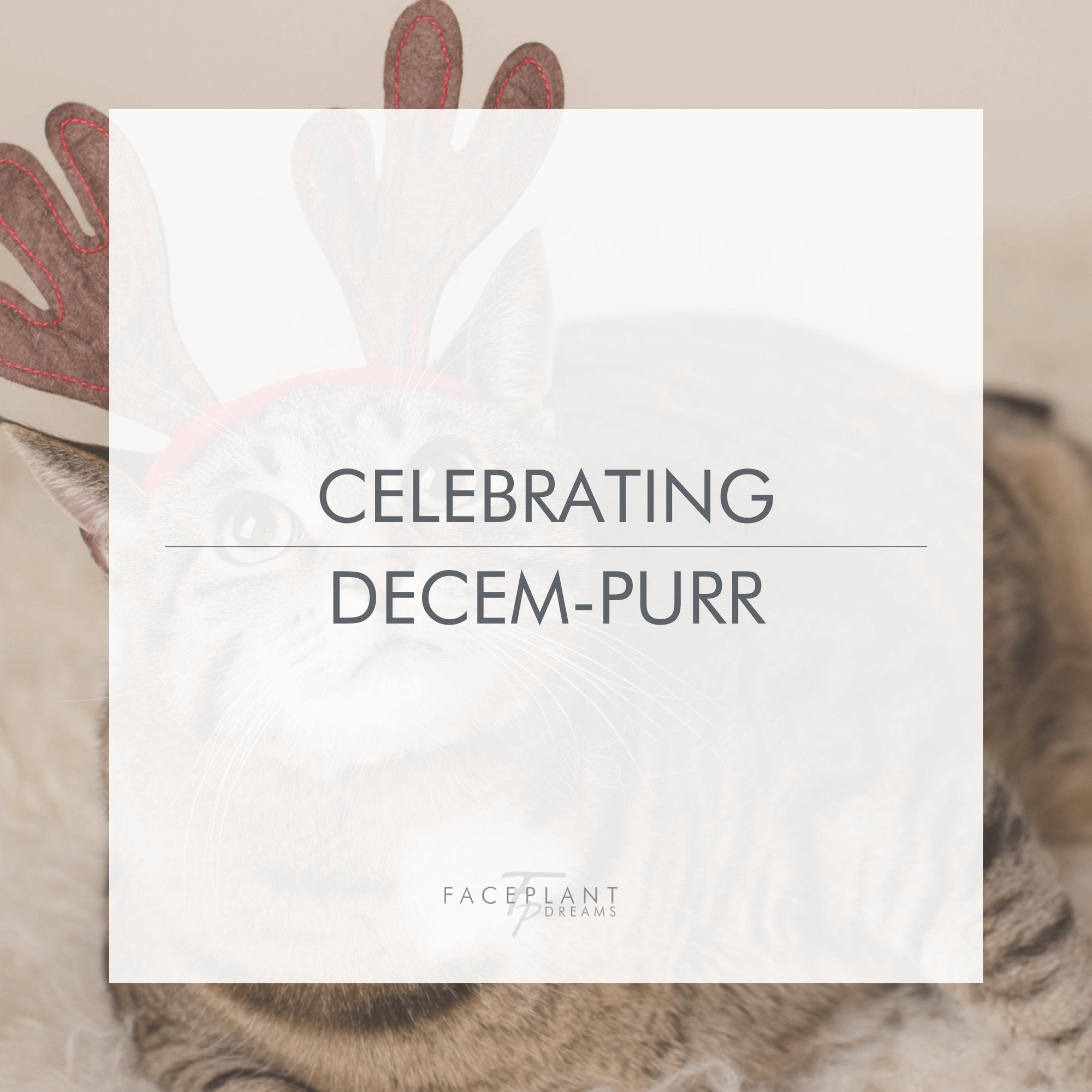 Celebrating Decem-purr